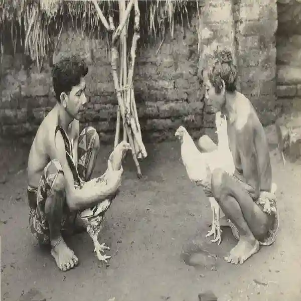 Tajen Online 2025 | Tradisi, Sejarah, dan Inovasi Digital